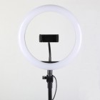 Кільцева лампа Ring Fill Light 26см на штативі (2,1м)