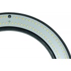 Кольцевая лампа Ring Lamp 32см с пультом на штативе 1,6 м