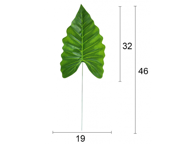 Лист банана 46 см (2)