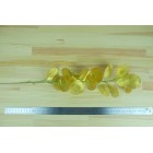 Листья эвкалипта 56 см