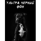 Безбликовый черный фотофон 2 х 1,5м Велюр ultra black