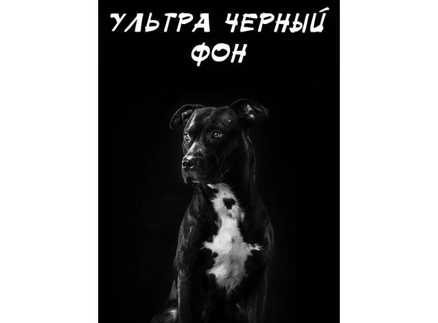 Безбликовый черный фотофон 2 х 1,5м Велюр ultra black