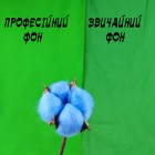Профессиональный хромакей 2 х 1,5м тканевый зеленый фон для фотостудии Chromacey