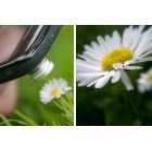 Линза-объектив для телефона (рыбий глаз, Fisheye)