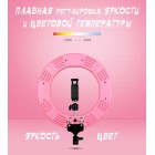 Кольцевая лампа 35 см (60 Вт)